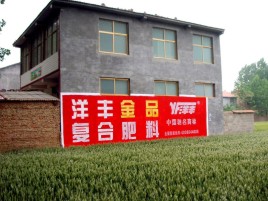 万源如何让墙体广告展现最大化效果
