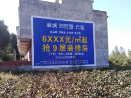 万源品牌公司青睐的墙体广告