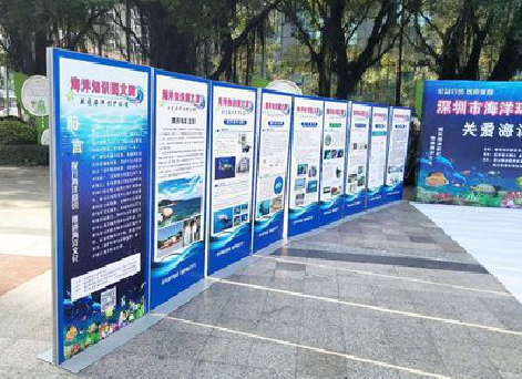 万源KT板的种类和知识。